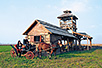 On a carriage in Trskovača Bara near Ruma (photo: TOO Ruma)